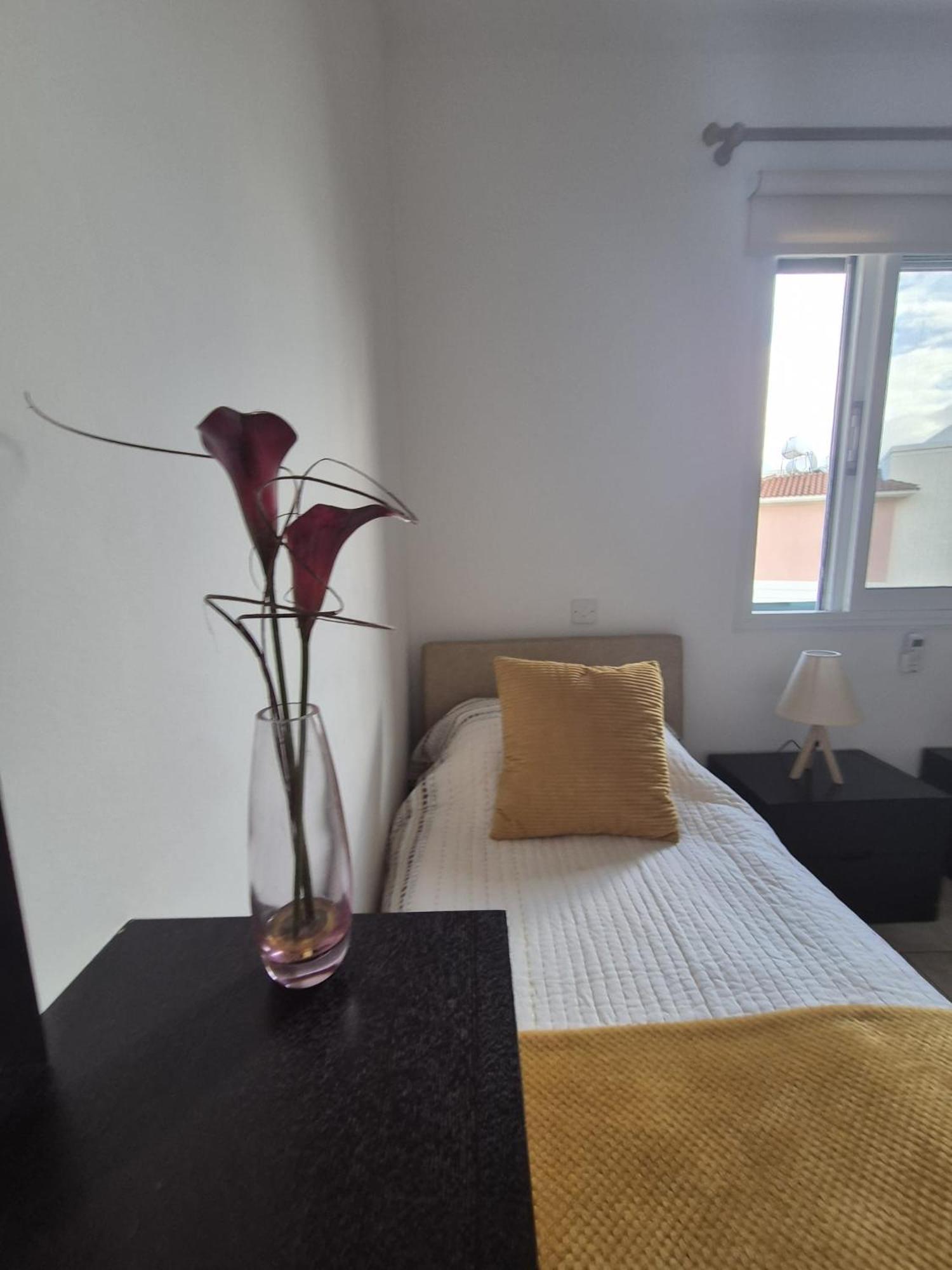 2 Bedroom Townhouse Lower Peyia Paphos Cyprus エクステリア 写真